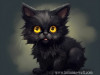little_persa_cat